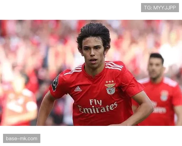 菲利克斯：从天才少年到争议焦点的职业轨迹解析