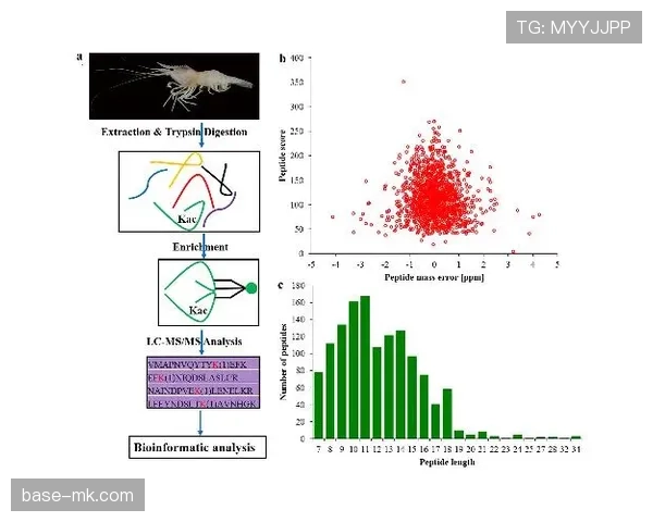 热苏斯战术适应性解析