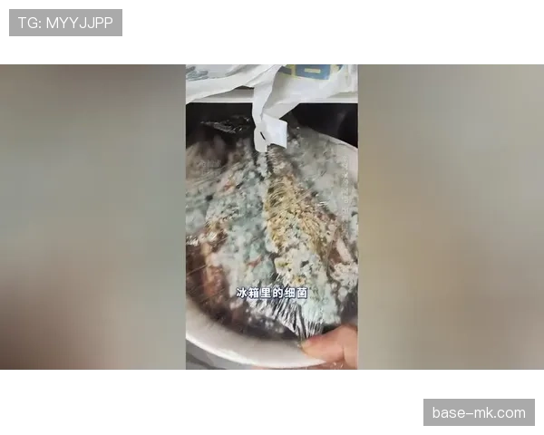 勒布朗家的冰箱里居然没有剩饭？